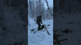 бобрик есть/Shorts