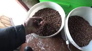 Мороз -36🔥, РАБОТАЮ НА ПАСЕКЕ, ПРОВЕРЯЮ КАК ЗИМУЮТ ПЧЁЛЫ ,ТОПЛЮ ВОСК, СУШУ ПЕРГУ, РАМКИ доработка.