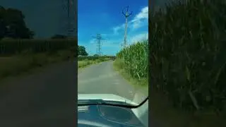 #Nature