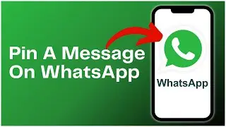 How To Pin A Message On WhatsApp 2024