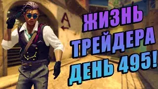 ЖИЗНЬ ТРЕЙДЕРА! УРОКИ ТРЕЙДА! КАК НА САМОМ ДЕЛЕ ПРОХОДЯТ ТРЕЙДЫ В STEAM! ДЕНЬ 495