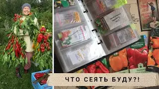 Моя коллекция семян перца из 100 сортов / Как храню семена / Что посею в 2023 / My pepper collection