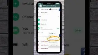 📢📱 WhatsApp Работает Над Крутым Обновлением Для Владельцев Каналов! #ватсап #ватсапканал
