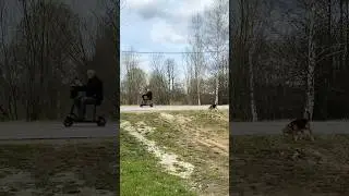 У него стрим тоже походу идёт🤣 