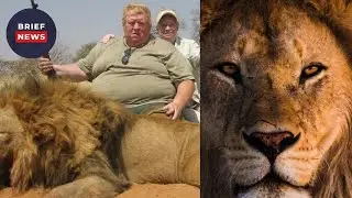 Trophy Hunter eaten by brother of lion he killed and other stories.