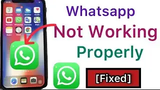 WhatsApp not working properly on iPhone | WhatsApp Keep Crashing