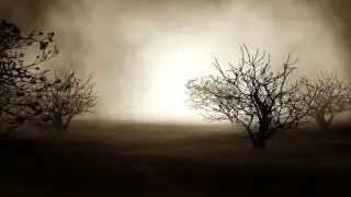 Футаж мистические деревья ночью HD