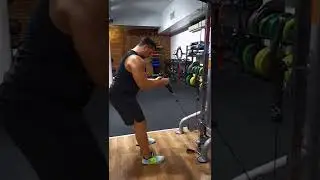 Программа для тренировки бицепса и трицепса от Макса Докучаева в EVOLVE GYM