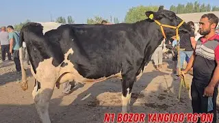 Buvayda Yangiqo'rg'on Mol BOZORI Narxlari Ashaddiy Obunachilar Uchun