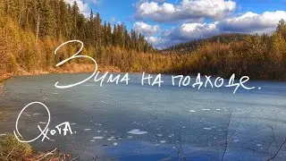Охотничий сезон 2022. Конец Октября.  Тайга еще без снега.