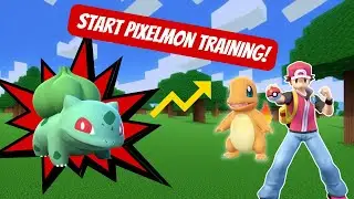 Pixelmon Wilderness: Training and Base Building