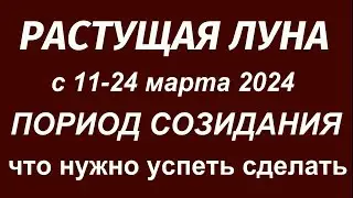 Растущая Луна в марте 2024.Что можно и нельзя делать.