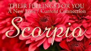 SCORPIO love tarot ♏️ This Person Loves You Scorpio They Really Do