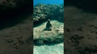 buddha statue discovered underwater 