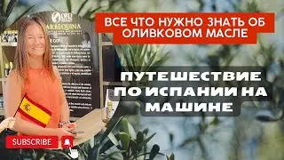 Лучшее оливковое масло в мире| от А до Я | Испанское золото | как выбрать оливковое мало |