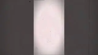 Валтор и Блум 