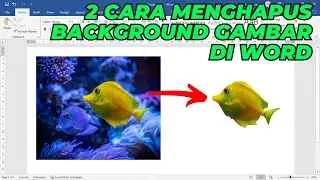 Cara Menghapus Background Gambar atau Foto di Microsoft Word