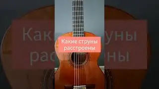 ПРОВЕРЬ СВОЙ СЛУХ #4