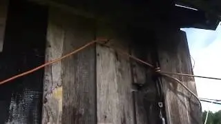 Шершни 3 Матку шершней не отпускаем,