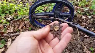 Searching Lost WW2 Relics Metal Detecting
