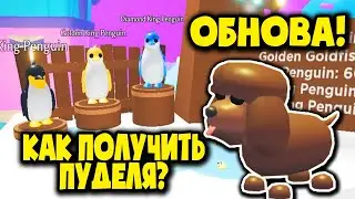ОБНОВА! Показала всех НОВЫХ ПЕТОВ Алмазный Пингвин Водный Пудель в Адопт ми!