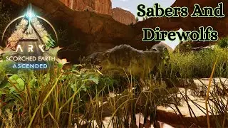 Getting some sabers | ASA Scorched Earth | day 6 | No Commentary