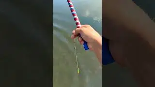 Ловим рыбу  на колбасу на речке сразу на два крючка #рыбалка #fishing #улов #уклейка