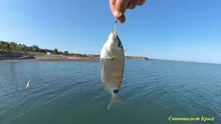 Морская рыбалка. Разнорыбица.