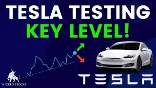 Tesla Stock Price Analysis | Top Levels To Watch for Thursday, August 29th, 2024