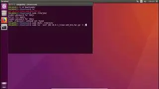 Installing Oracle Java 10 on Ubuntu/Linux