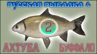 РР4 АХТУБА БУФФАЛО 2/ РУССКАЯ РЫБАЛКА 4 АХТУБА БУФФАЛО 2/ RUSSIAN FISHING 4 AKHTUBA RIVER BUFFALO 2