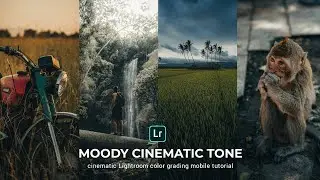 Moody cinematic Presets - Lightroom mobile Presets tutorial 