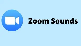 Zoom Sound Effects (Doorbell, Waiting Room, Chime) FREE DOWNLOAD