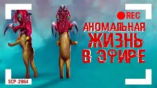 SCP-2964 - Xtreme Videozzz 🎥 аномальный видеохостинг