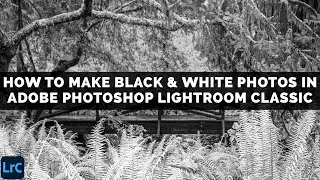 The BEST way to make BLACK and WHITE PHOTOS In Adobe LIGHTROOM CLASSIC