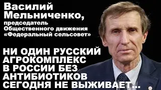 Василий Мельниченко. Ни один русский агрокомплекс в России без антибиотиков сегодня не выживает...