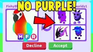 I Accepted Every Trade Until I Got Traded Purple..