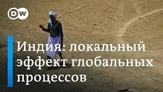 Индия: локальный эффект от глобальных изменений климата