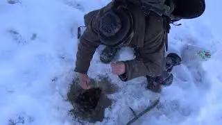 ПРОВЕРКА САМОЛОВОК НА НАЛИМА CHECK SMOLOVIC ON BURBOT