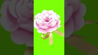 Green Screen Bridal Shower Effects 2 #shorts #shortfeed #greenscreen #fyp #bridalshower