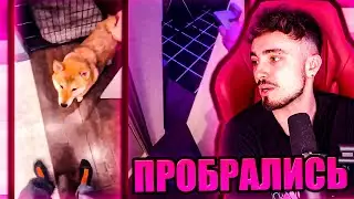 К ЭДИСОНУ ПРОБРАЛИСЬ ДОМОЙ ВО ВРЕМЯ СТРИМА! НИКТО ЭТОГО НЕ ОЖИДАЛ! НП С ВЕБКАМИ!