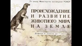 Происхождение и развитие животного мира на Земле. Студия Диафильм, 1965 г. Озвучено