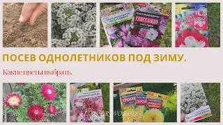 Посев однолетников под зиму - Какие цветы выбрать.💐