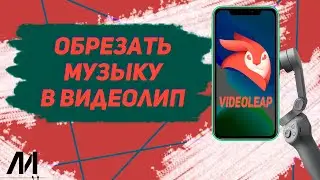Как обрезать музыку в видеолип? Как разделить музыку в videoleap?