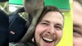 Funniest Animals Best Of The monkey compilation Funny Animal Videos Cutest Animals 2023😍🤣