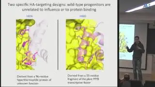 Sarel Fleishman-Principles of designing biomolecular function