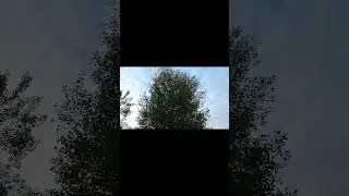 Это их работа