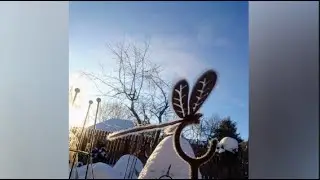 Садовый декор от QG: Железная стрекоза