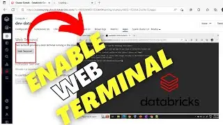 Enable the web terminal l In DataBricks | Databricks Web Terminal | CLI In Databricks #databricks