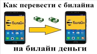 Как перевести деньги с билайна на билайн